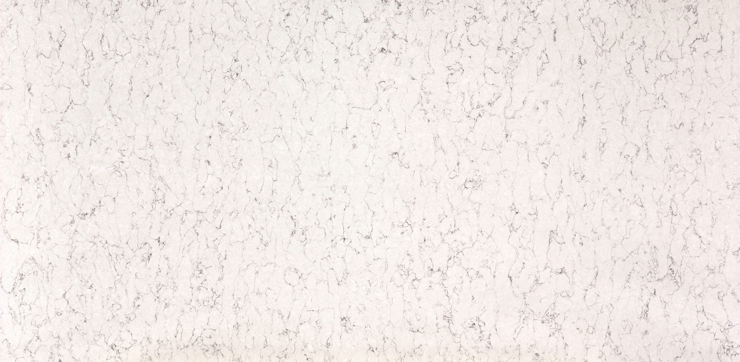 White Arabescque